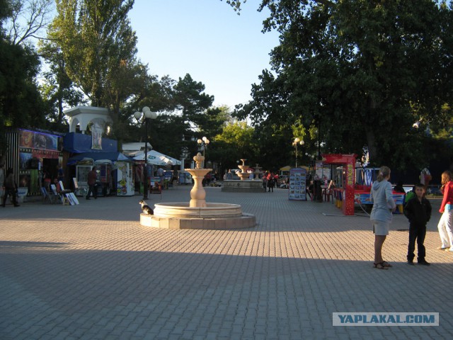 Велокрым