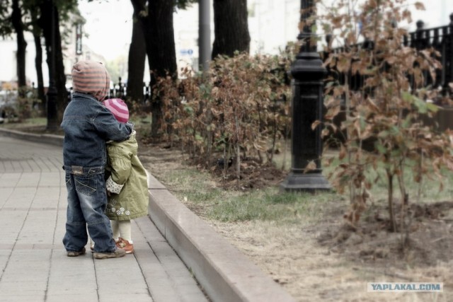 Фото(Просто) ,тема -просто.