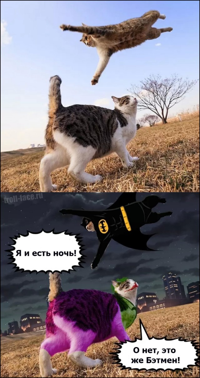 Смешные фото из сети
