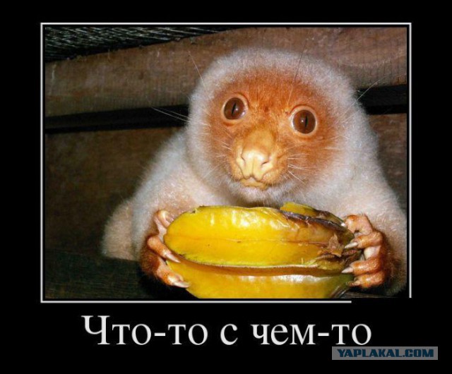 Демотиваторов пост