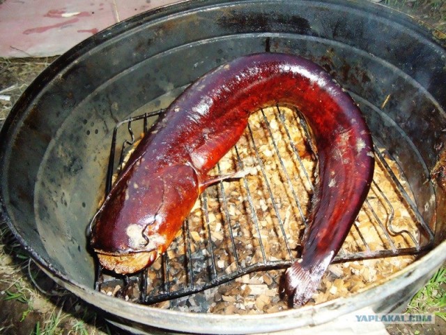 Шашлычный сезон открыт!