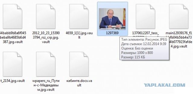 Я убила муху