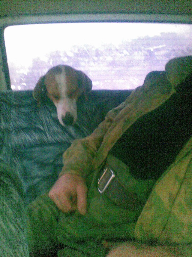 Где захотелось-там и уснулось