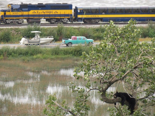 Интересные и веселые картинки