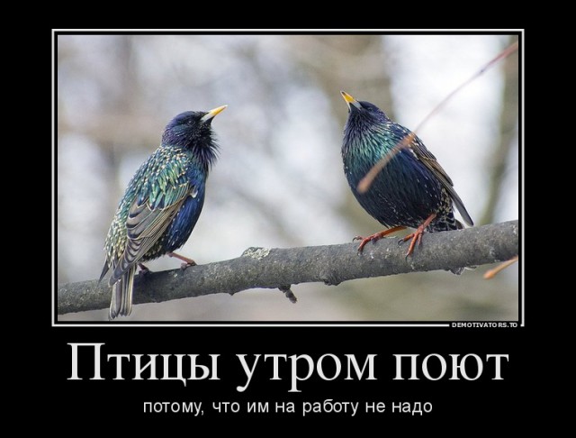 Картинки с надписями
