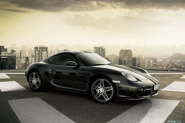 Эксклюзивный аллигатор