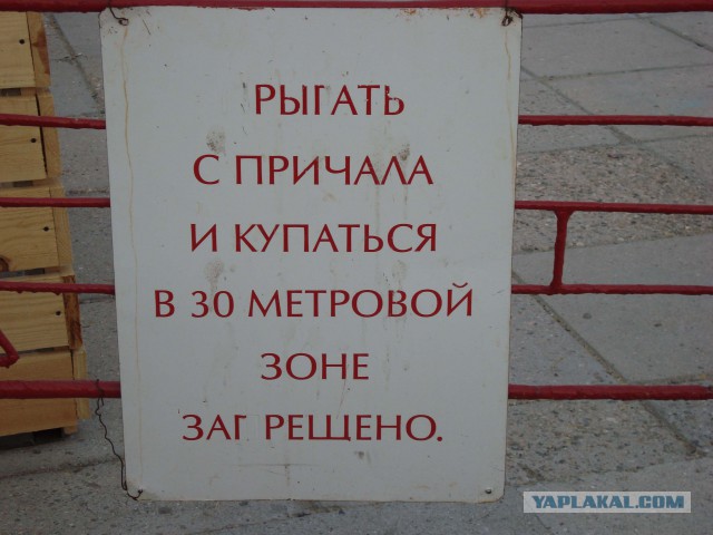 Эпические объявления.