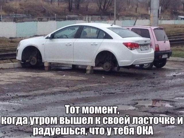 Подборка безудержного веселья