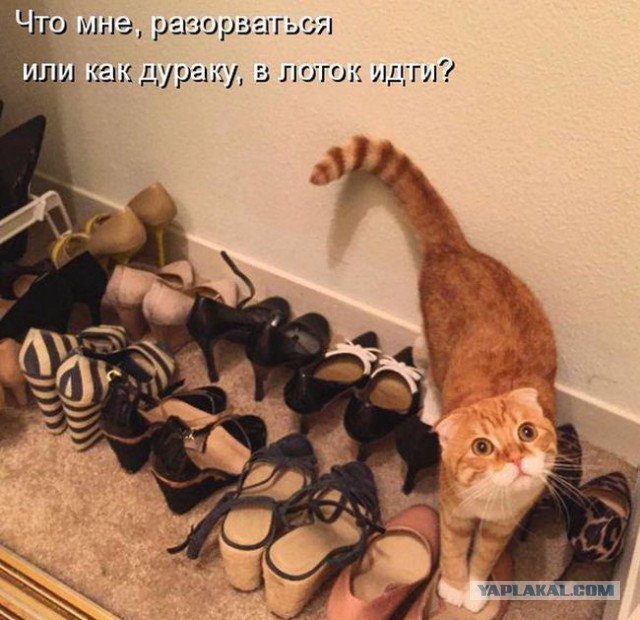 Картинки. Интересные, старые и не очень