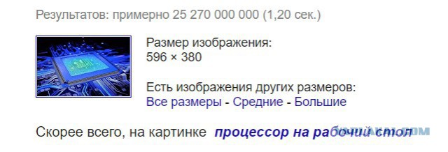 Россия могла использовать запрещённые технологии для побед в международных олимпиадах студентов и школьников