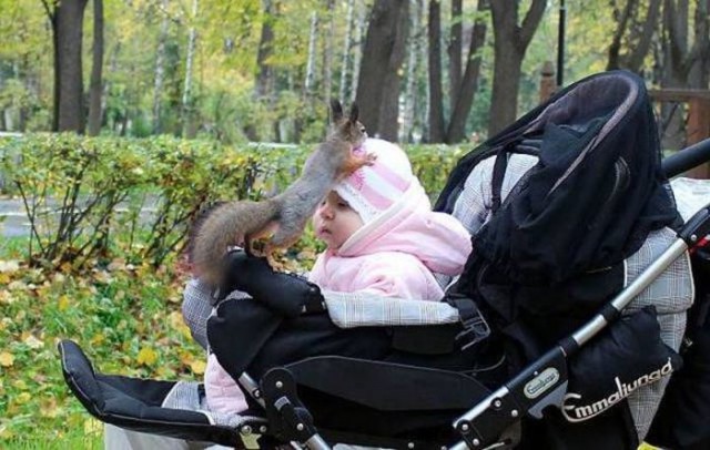 Набористый набор картинок