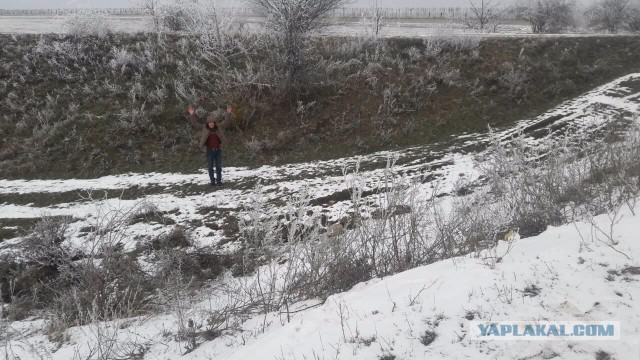 Автор решил положить стрелку на свежей машине... 150 км/ч, занос, отбойник