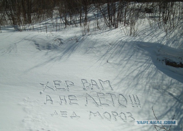 Снегопад в Москве 4 марта может стать мощнейшим за последние 68 лет‍!