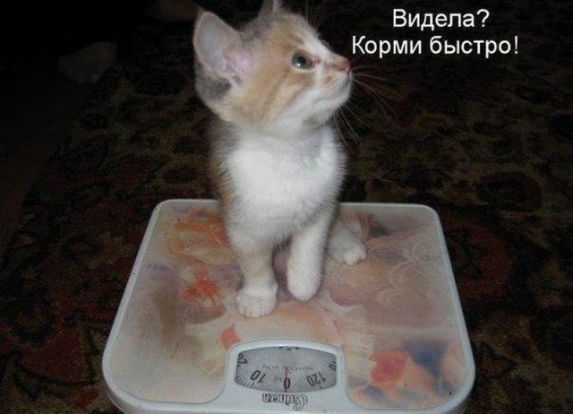 Картинки по-приколу