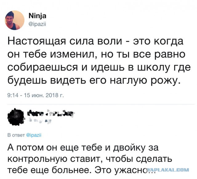 Подборка интересных и веселых картинок