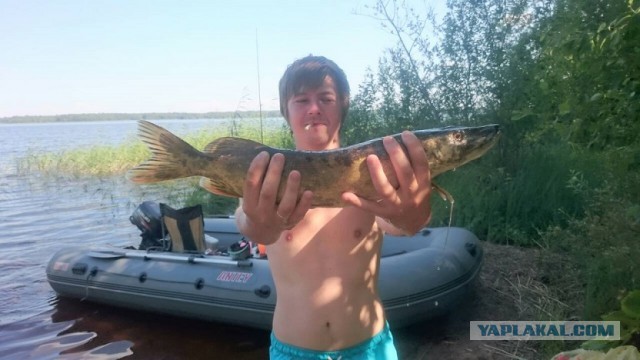 Надоела политика... или поймал окунька на 42см