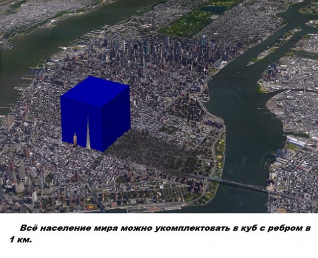 Подборка бесполезных фактов