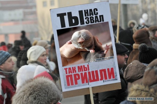 Пойманый крот