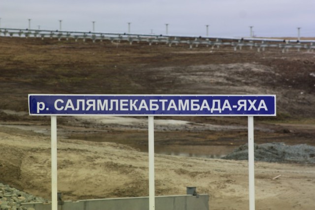 Пользователи интернета видят рифмы и слагают прикольные четверостишия