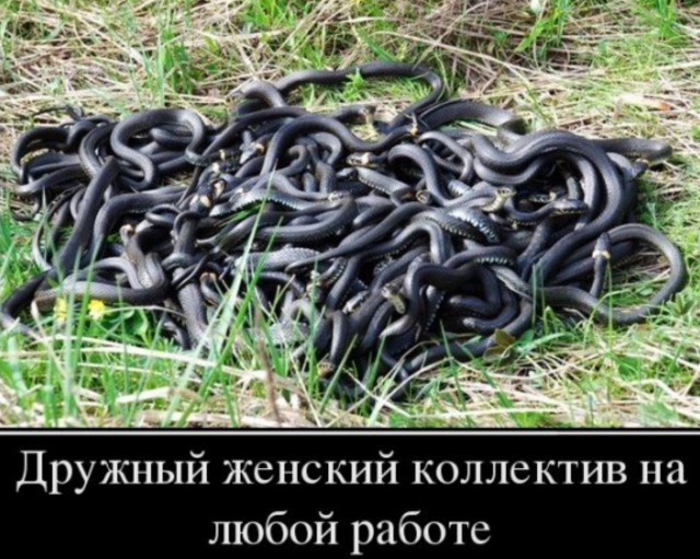 Бухгалтерия в период сдачи отчётов