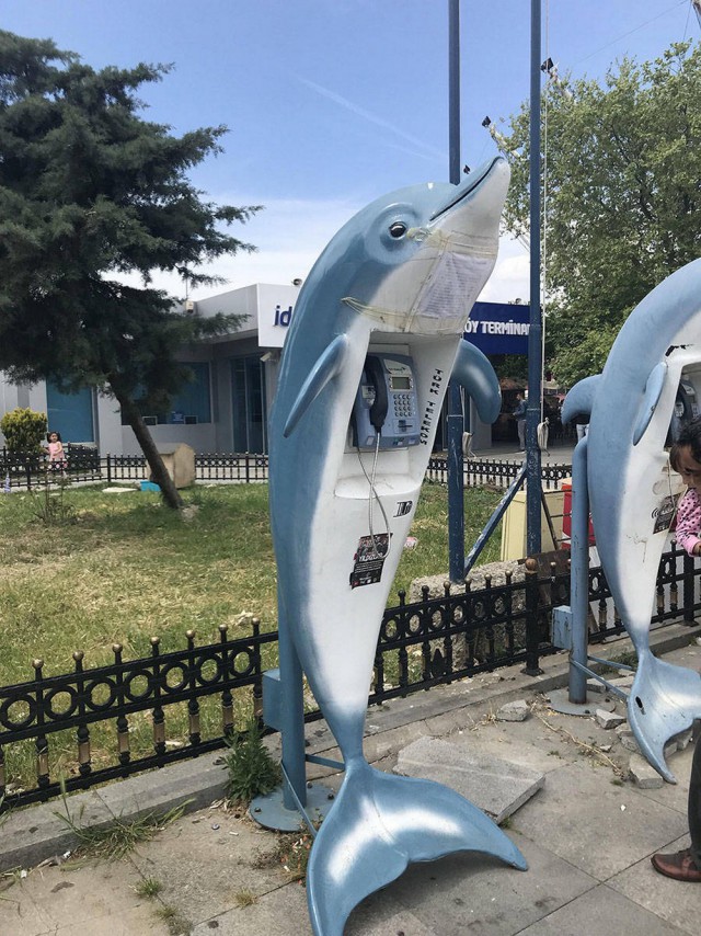 Подборка интересных и веселых картинок 03.05.19