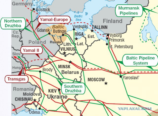 Отрезали надпись "Россия" с куртки