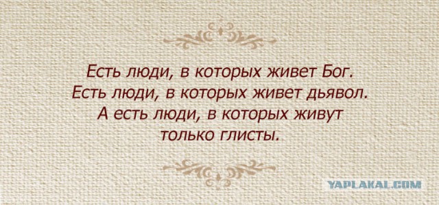 Дети спасли котёнка с загипсованными задними лапками