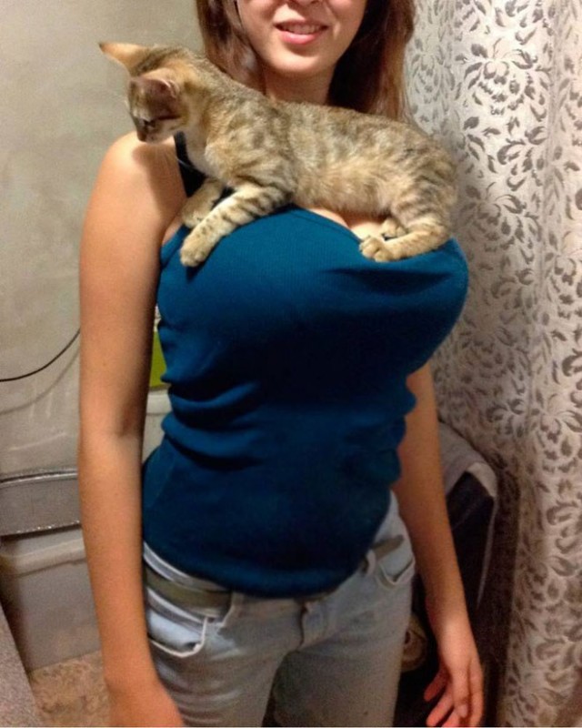 Красивые девушки с котиками