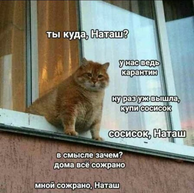 Женщины с низкой социальной ответственностью - меняются в браке или нет?
