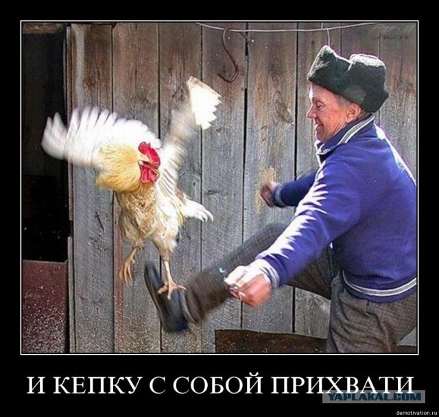 Смелая Маша и трусливый Лёша
