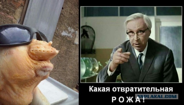 Роднина раскритиковала недовольных помощью властей россиян 
