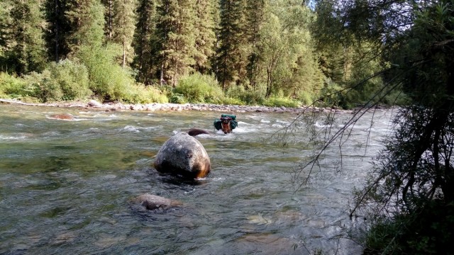 На конягах по Алтаю