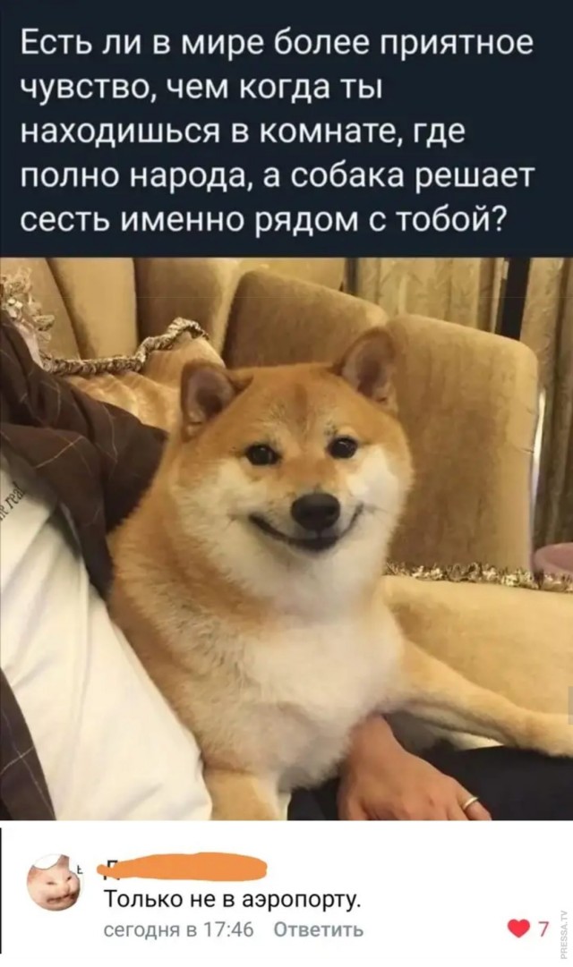 Картинки и мемы для настроения 004