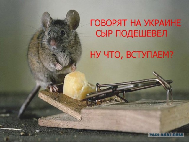Тем временем ЕдРо тащит страну в ВТО. Мы против