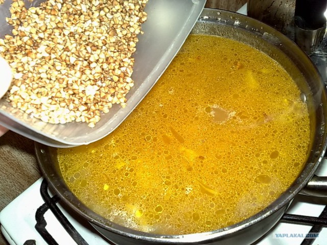 Куриный бульон для Чайников, Или «Кура-International»