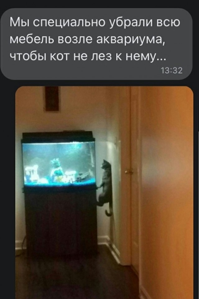 Бредзона 16.07.2021