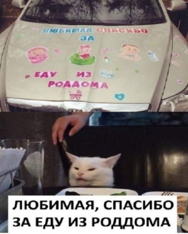 Йумористические картинки 12.08.2021