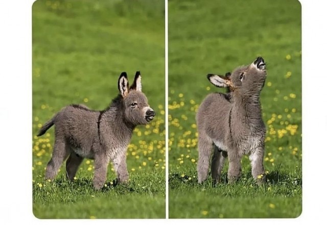 Так себе картинки 12.09.21