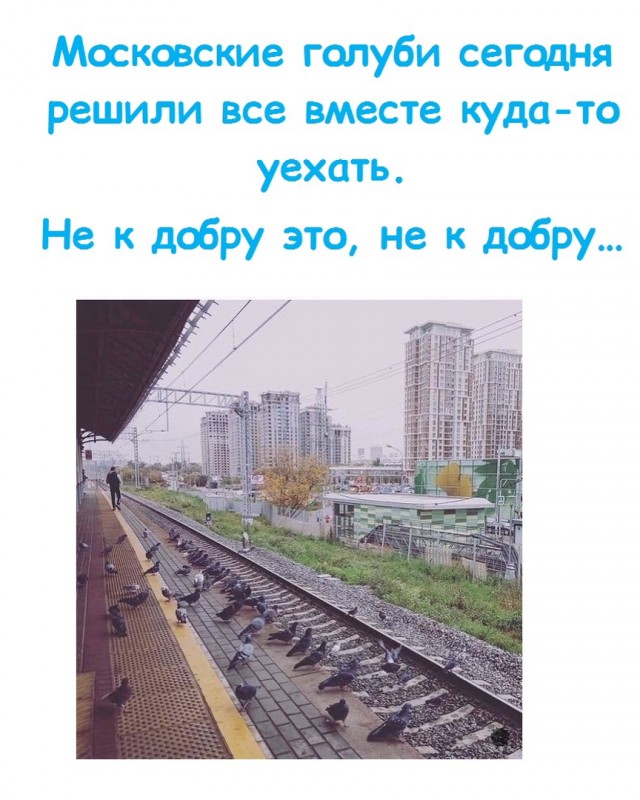 Весёлый полтишок 26.09