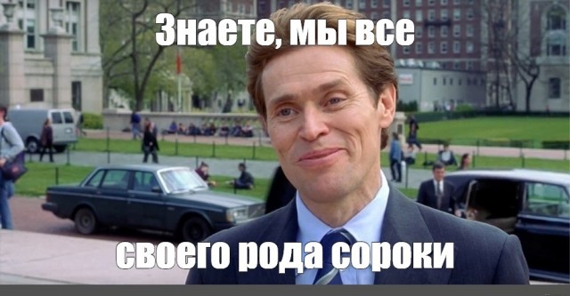Сорока наелась забродивших яблок и опьянела
