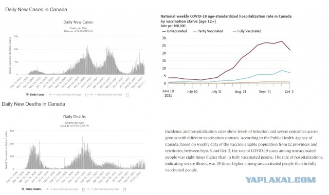 В Ирландии произошла новая массовая вспышка COVID, несмотря на 91% вакцинации населения