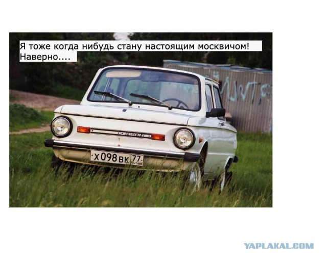 Вася Ложкин о москвичах