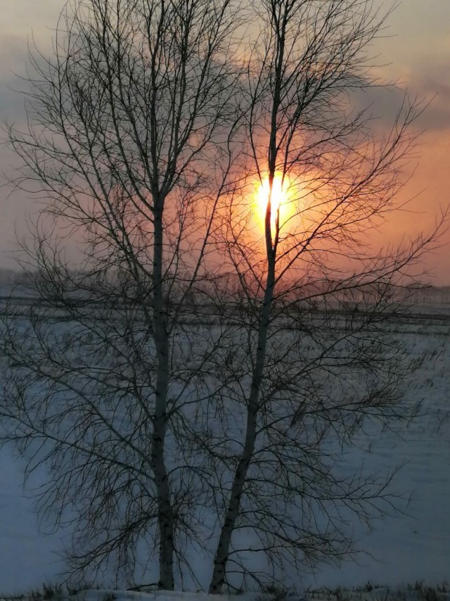Фотки с телефона.