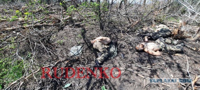 Зрадники ВСУ тикают из Лимана
