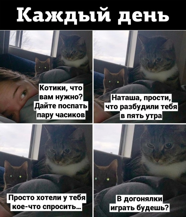 Так себе картинки 01.06.22