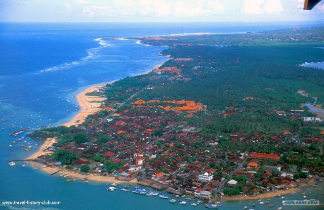 Они живут только 40 лет