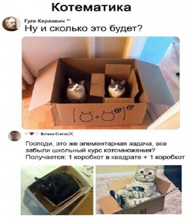 Картинки и мемы для настроения - 19