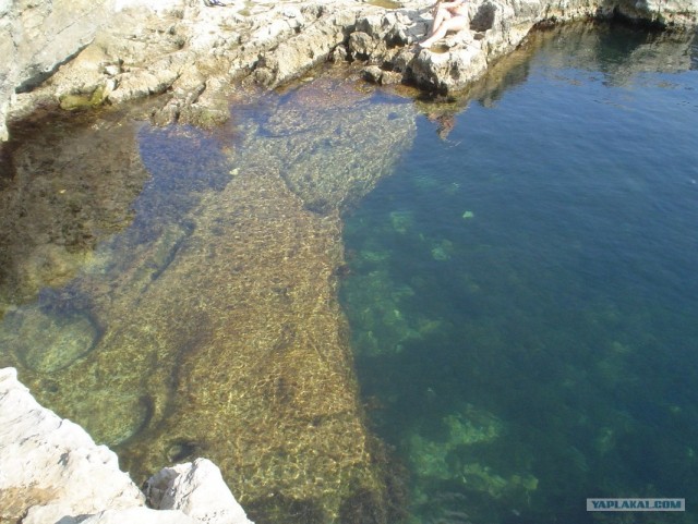 Мыс Тарханкут - самая западная точка Крыма.