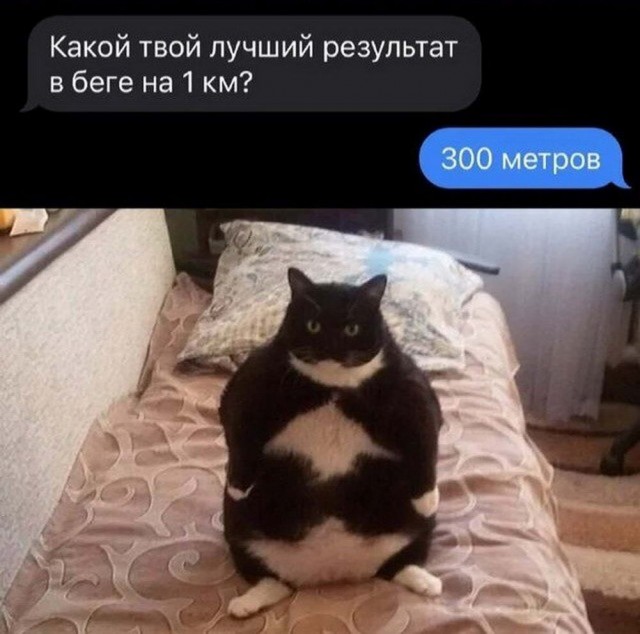 Картинки и мемы, всем хороших выходных