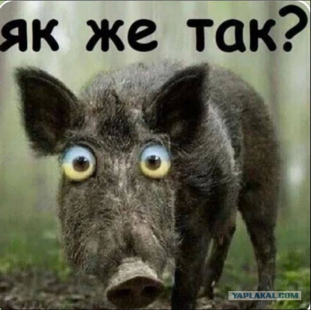 Нашёл у себя старые газеты